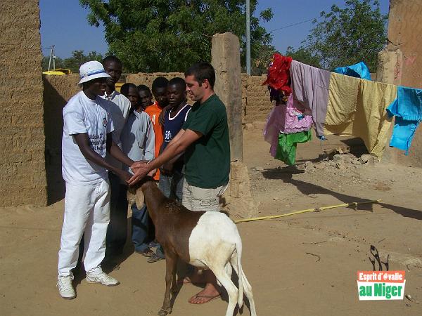 100_3543.jpg - Le "mouton" offert par l'association